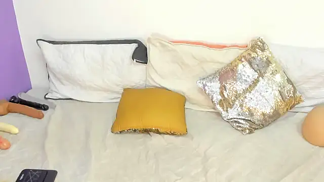 cookplleaser webcam