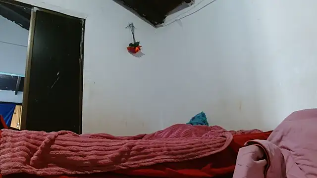 sk8-sir webcam