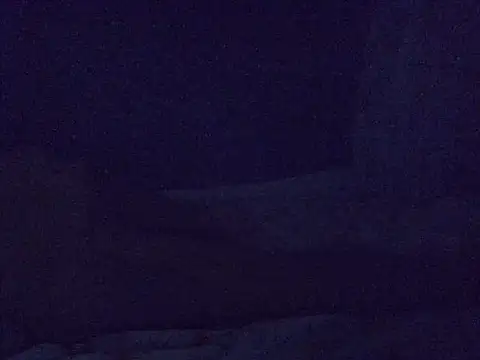 queen_bee2 webcam