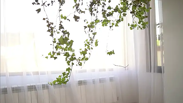 TheMaddisonShow_ live cam