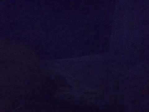 queen_bee2 webcam