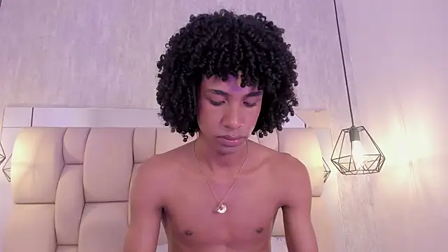 Johan_gz_ webcam