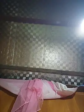 Reeoo-93 webcam