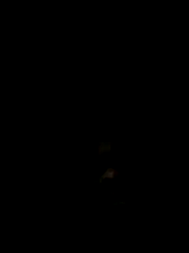 rakkakakakakakakakaak webcam
