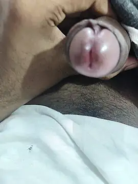 ButtonedTwinkle webcam