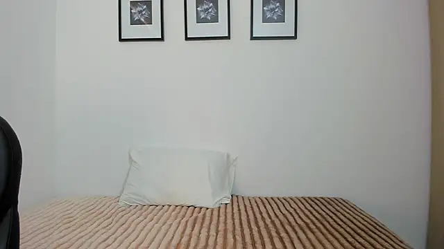 Sophiesoft_ webcam