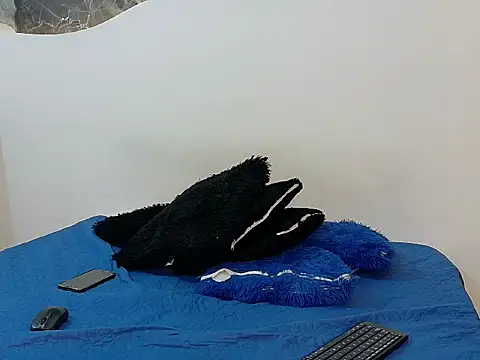 ThiagoBrooks_ webcam