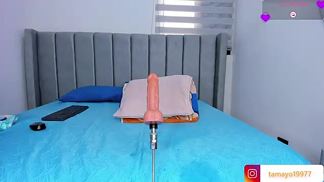_kaarla_ webcam