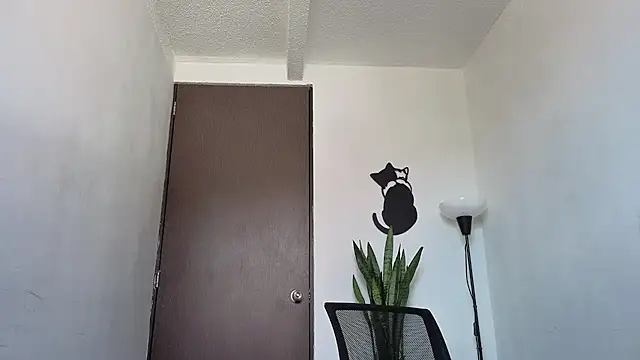 Arteemiiis webcam