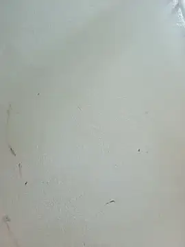 -Bitilu- webcam