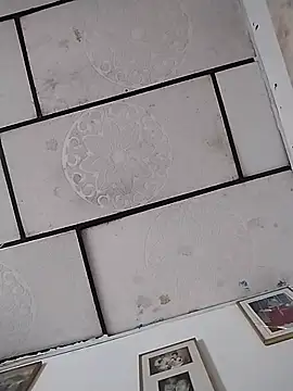 rianha webcam