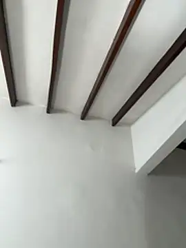 Arilw live sex cam