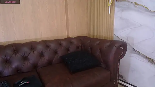 rox_luxury_tf webcam