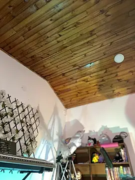 NikkiNix webcam