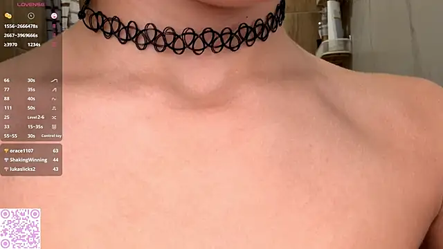 CariLowland webcam