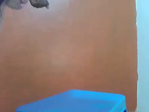 Sexxyanne1 webcam