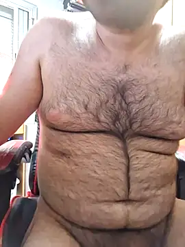 Javier_bear webcam