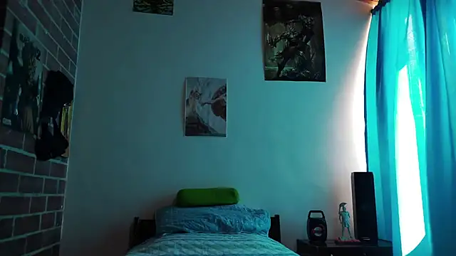 PaulDamico webcam