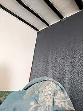 Freyja_eter webcam