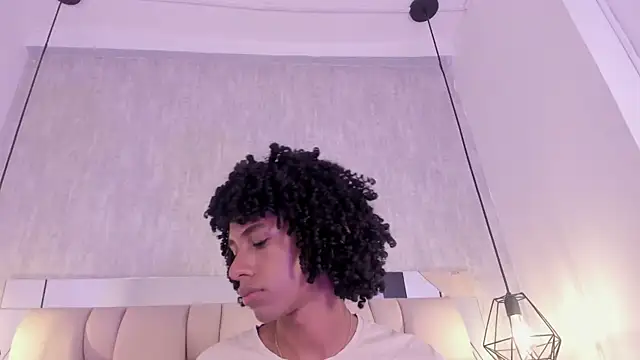 Johan_gz_ webcam