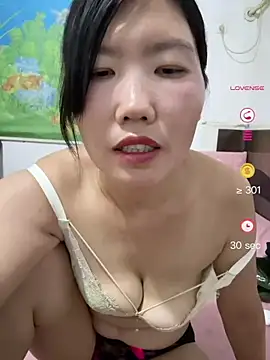 hjlp05 webcam