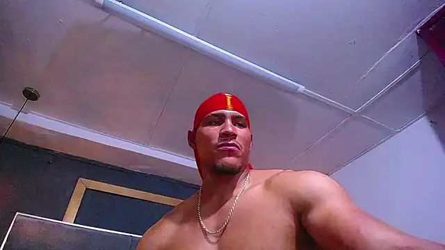 teddyfit19cm webcam
