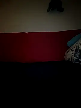 Doudoulecoquin webcam