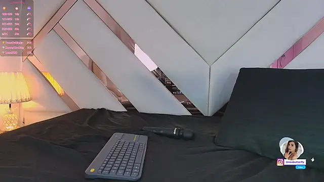 Noa_butterfly_ webcam