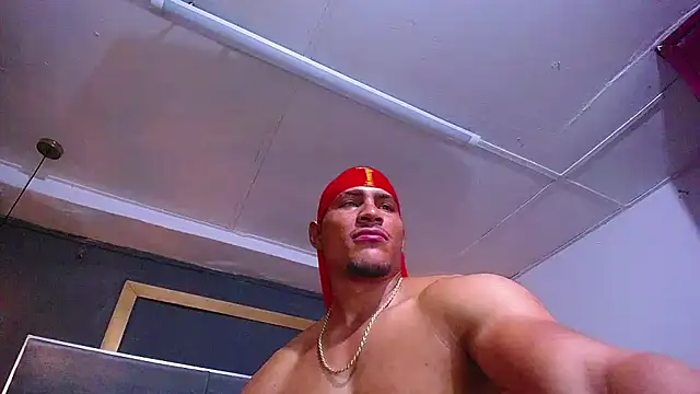 teddyfit19cm webcam