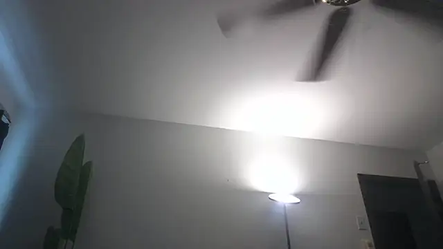 WetFlower69 webcam