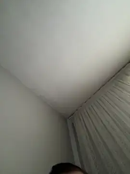 cans7333 webcam