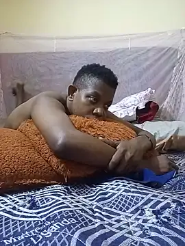 CRIBANN webcam