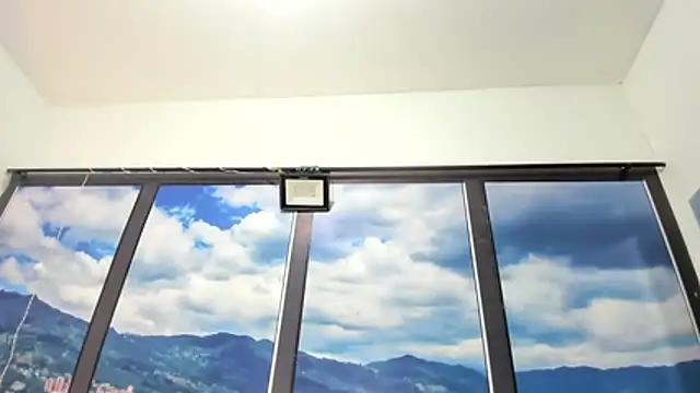 DilanAndKing webcam