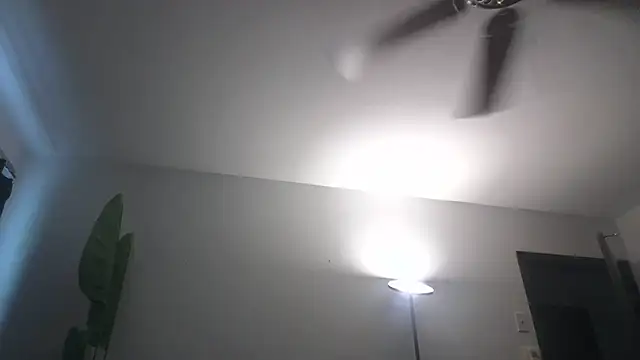 WetFlower69 webcam