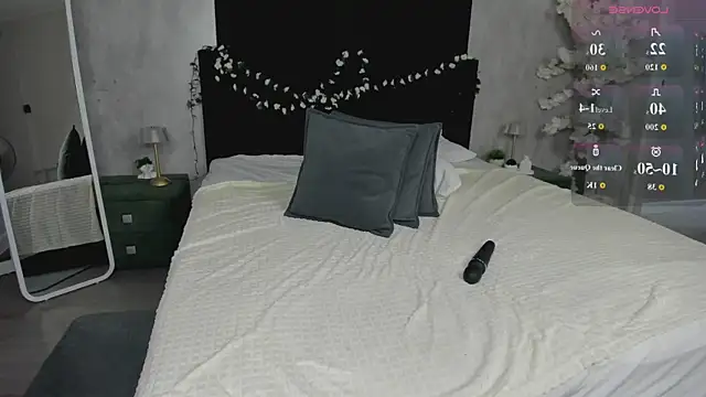 Dixon_Ross webcam