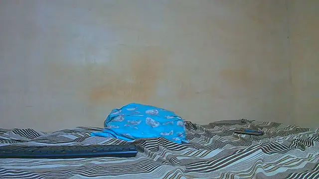 Thomass00 webcam