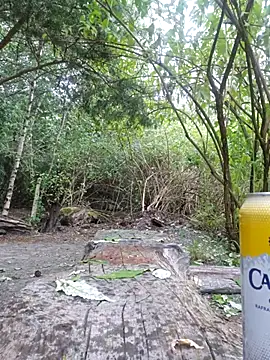 Tangafun webcam