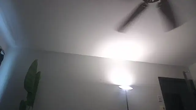 WetFlower69 webcam