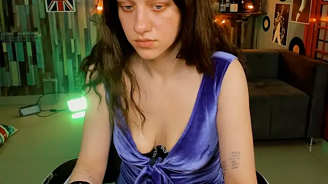 LidaDarknet webcam