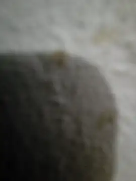 KingBlack12 webcam