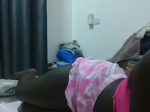 snowy190 webcam
