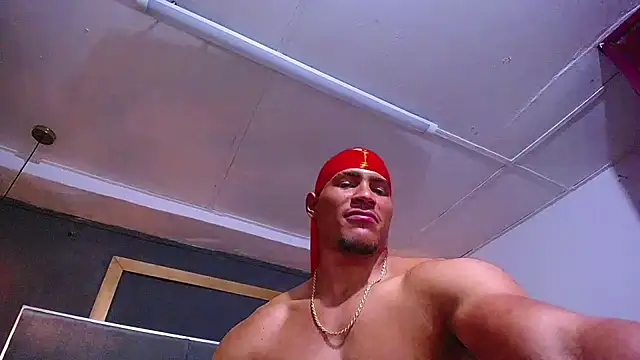teddyfit19cm webcam