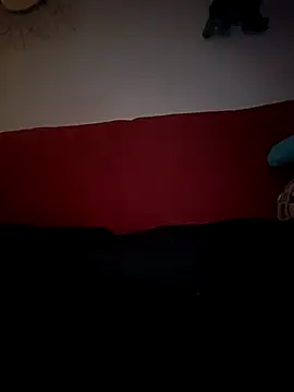 Doudoulecoquin webcam