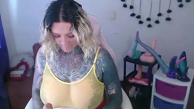 SLOPPYTITSS webcam