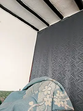 Freyja_eter webcam