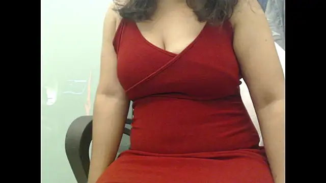 Model29 webcam