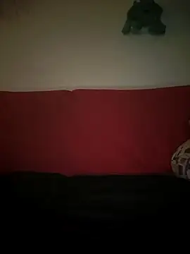 Doudoulecoquin webcam