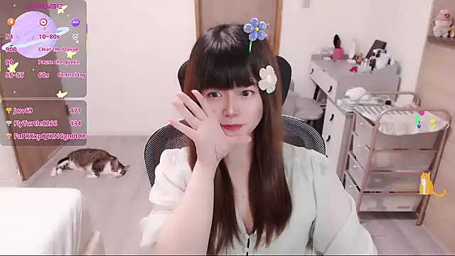 a0513 webcam
