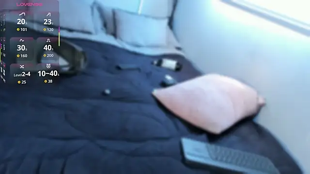 james_lincoln webcam