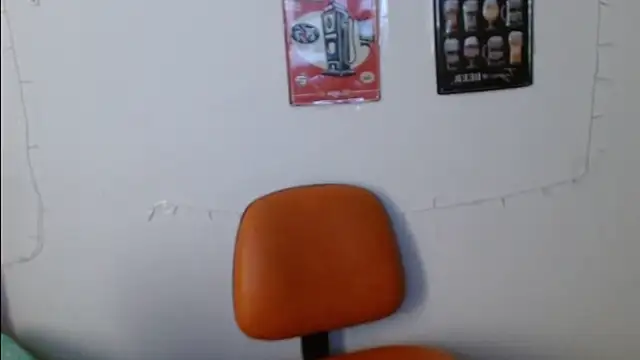 Evanss_lx webcam